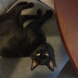 Meet your Posher, Melissa